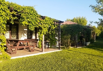 terrace with garden view and outdoor dining area with barbeque (gas)